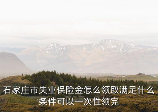 失業(yè)保險(xiǎn)每月可以領(lǐng)多少錢石家莊,石家莊市失業(yè)保險(xiǎn)金怎么領(lǐng)取
