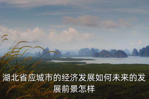 湖北省應城三合鎮(zhèn)發(fā)展怎么樣,湖北省應城市的經(jīng)濟發(fā)展如何