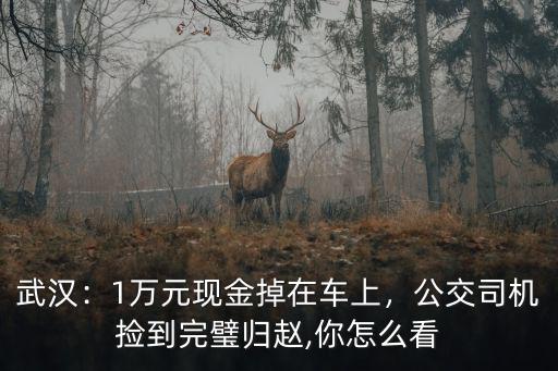 在武漢公交司機(jī)怎么樣,現(xiàn)在在武漢當(dāng)公交司機(jī)怎么樣