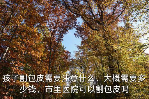 合肥切除包皮大概要多少錢,孩子割包皮需要注意什么