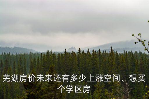 蕪湖房價未來還有多少上漲空間、想買個學區房