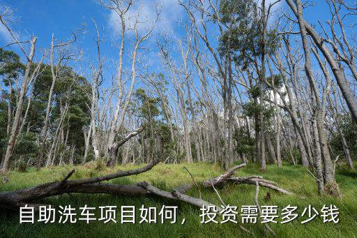 安徽福建自助洗車多少錢,自助洗車項(xiàng)目如何