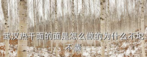武漢熱干面的面是怎么做的為什么不坨不囊