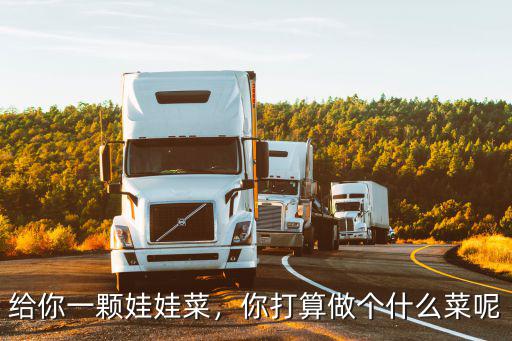承德娃娃菜多少錢一棵,給你一顆娃娃菜