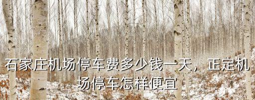 石家莊先天下停車多少錢,石家莊機場停車費多少錢一天
