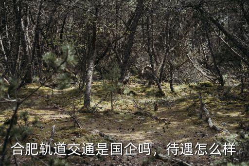 合肥軌道交通是國(guó)企嗎，待遇怎么樣