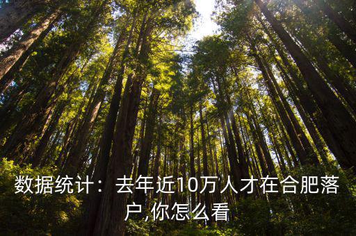 數據統計：去年近10萬人才在合肥落戶,你怎么看