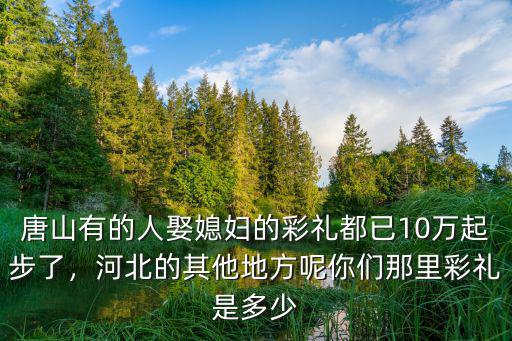 唐山有的人娶媳婦的彩禮都已10萬起步了，河北的其他地方呢你們那里彩禮是多少