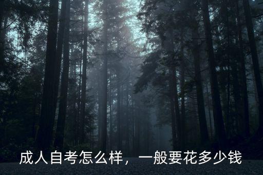 宣城成人自考多少錢,成人自考怎么樣