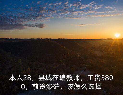 石家莊高邑縣在編教師工資多少,陜西省的教師工資是多少