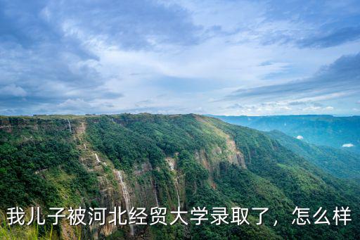 我兒子被河北經貿大學錄取了，怎么樣