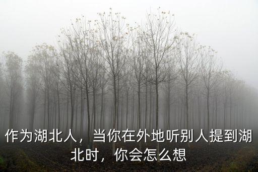 湖北人怎么夸獎,你身邊的湖北人怎么樣