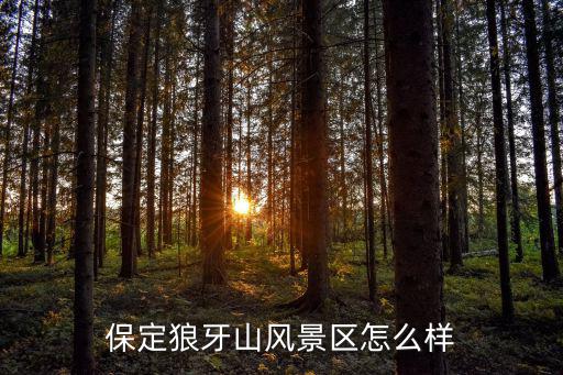 保定虎山風景區門票多少錢,保定狼牙山風景區怎么樣