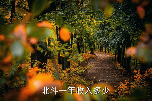 北斗一年收入多少
