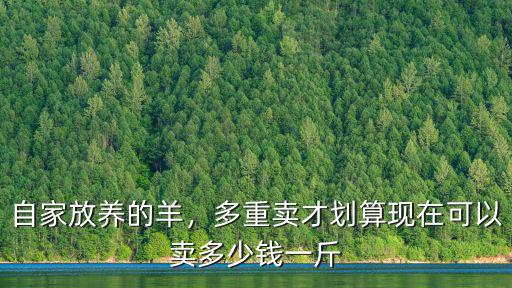 安徽利辛母羊多少錢一斤,現在小母羊多少錢一斤
