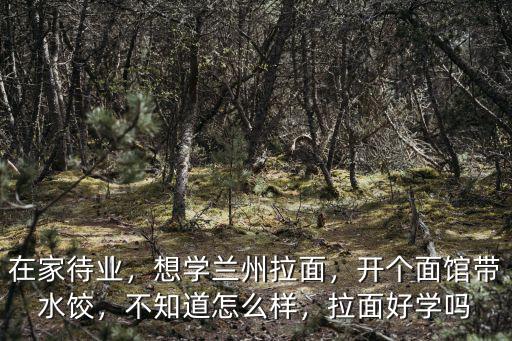 湖北潛江燒烤拉面怎么學,面館和燒烤怎么合作