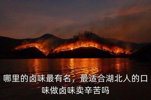 哪里的鹵味最有名，最適合湖北人的口味做鹵味賣辛苦嗎