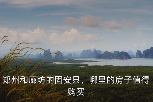 鄭州和廊坊的固安縣，哪里的房子值得購買