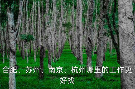 合肥、蘇州、南京、杭州哪里的工作更好找