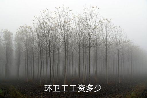 邢臺市環衛工有多少,環衛工工資多少