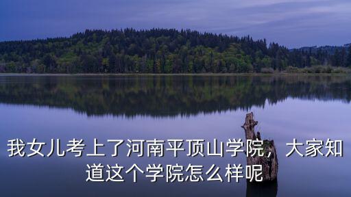 平頂山學院多少分,平頂山學院怎么樣