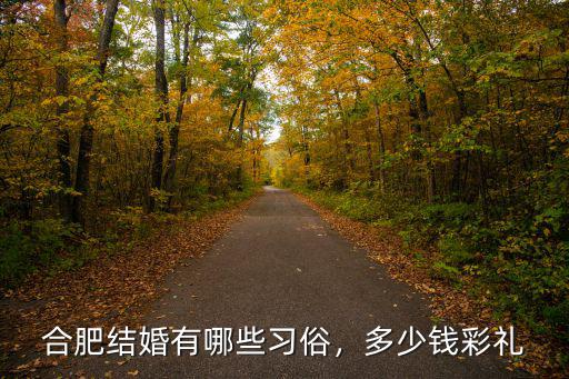合肥婚禮需要多少錢一天,合肥結婚一般彩禮要多少