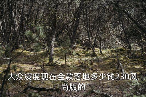 大眾凌度現在全款落地多少錢230風尚版的