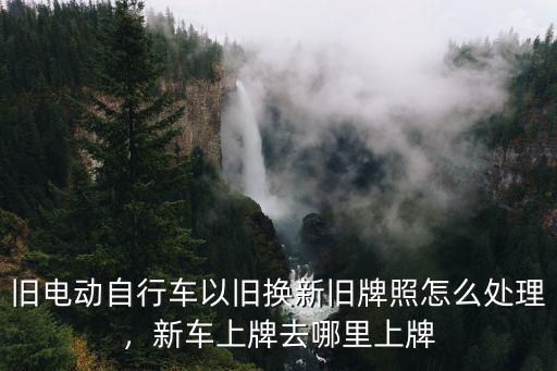 河南林州電動車以舊換新在哪里,電動車以舊換新