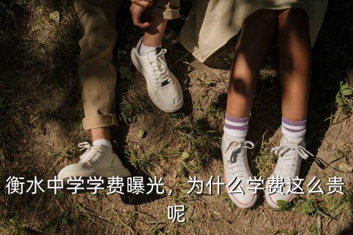 衡水一中國際部多少錢學費,衡水中學學費曝光