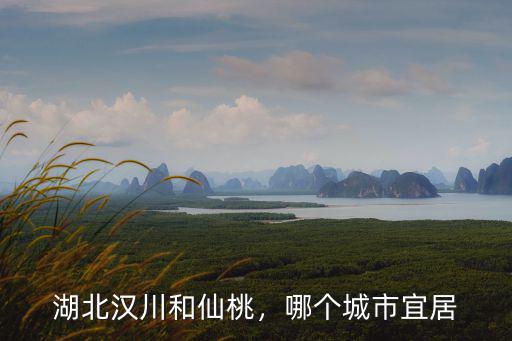 漢川湖北科利怎么樣,湖北漢川和仙桃