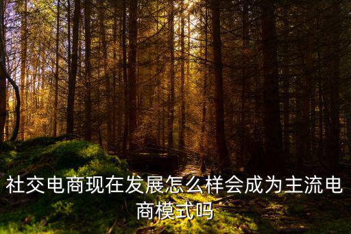 武漢社交電商怎么樣,社交電商的前景怎么樣