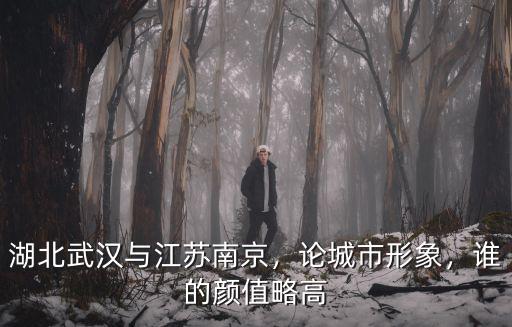 湖北武漢與江蘇南京，論城市形象，誰的顏值略高