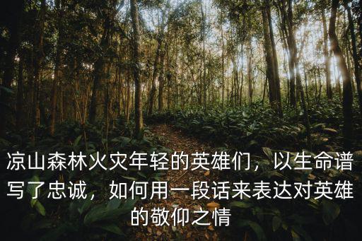 祭涼山火災犧牲的英雄都是哪里人,涼山火災30名救火英雄犧牲