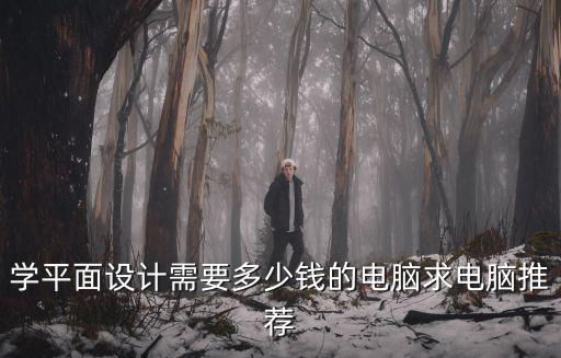 保定學(xué)平面設(shè)計(jì)需要多少錢,學(xué)平面設(shè)計(jì)需要多少錢的電腦