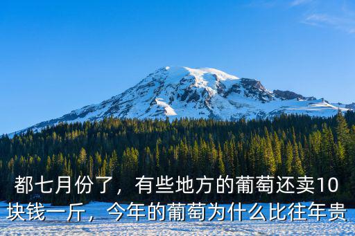 都七月份了，有些地方的葡萄還賣10塊錢一斤，今年的葡萄為什么比往年貴