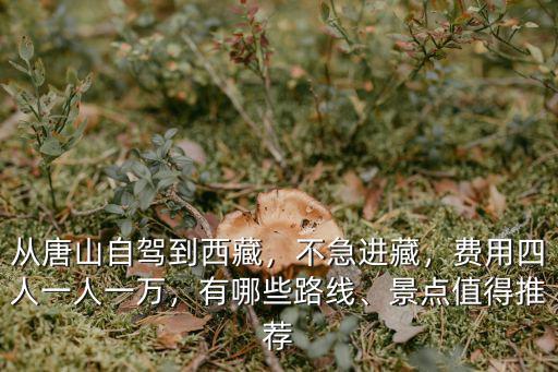 從唐山自駕到西藏，不急進藏，費用四人一人一萬，有哪些路線、景點值得推薦