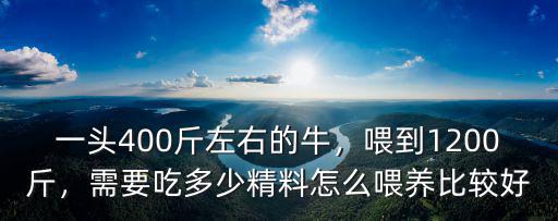 一頭400斤左右的牛，喂到1200斤，需要吃多少精料怎么喂養比較好
