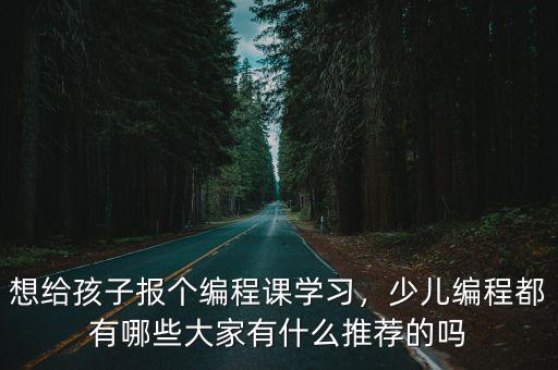 漯河哪里有編程課,哪里有編程課可以學(xué)