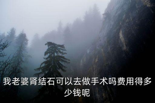 蕪湖腎結(jié)石手術(shù)多少錢(qián),費(fèi)用得多少錢(qián)呢
