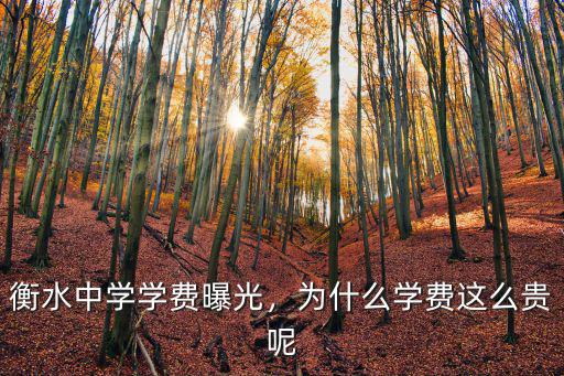 衡水中學一年要多少錢,衡水中學上市
