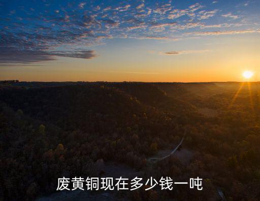 廢黃銅現在多少錢一噸