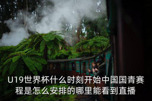 鄭州哪里能看到世界杯,哪里能看到直播