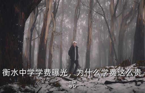 衡水中學學費曝光，為什么學費這么貴呢