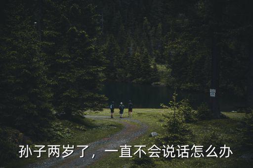 兩歲不會說話合肥天使電話號多少,兩歲多寶寶不會說話