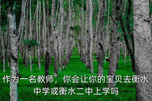 作為一名教師，你會讓你的寶貝去衡水中學(xué)或衡水二中上學(xué)嗎