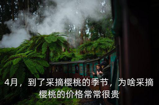 4月，到了采摘櫻桃的季節，為啥采摘櫻桃的價格常常很貴