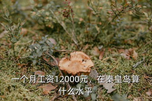 秦皇島護士長一個月工資多少,護士長一個月工資多少