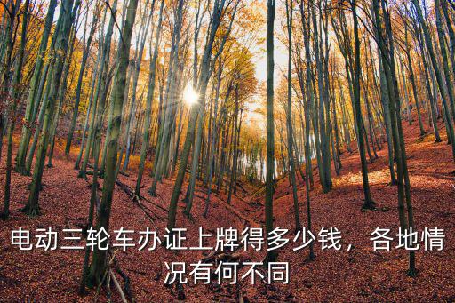 電動三輪車辦證上牌得多少錢，各地情況有何不同