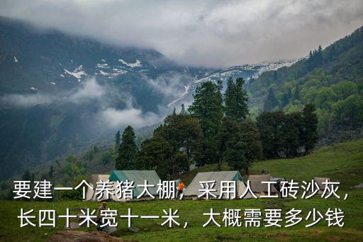 邯鄲養(yǎng)豬大棚多少錢一平米,要建一個養(yǎng)豬大棚