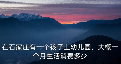 石家莊接送孩子上幼兒多少錢園,在石家莊有一個孩子上幼兒園